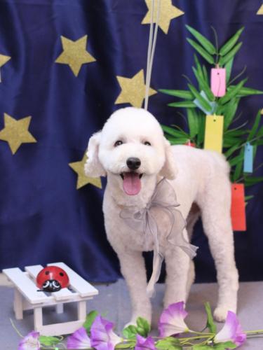 20230730ビビくん